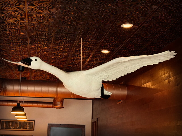 Cedar swan carved by Paul Albright