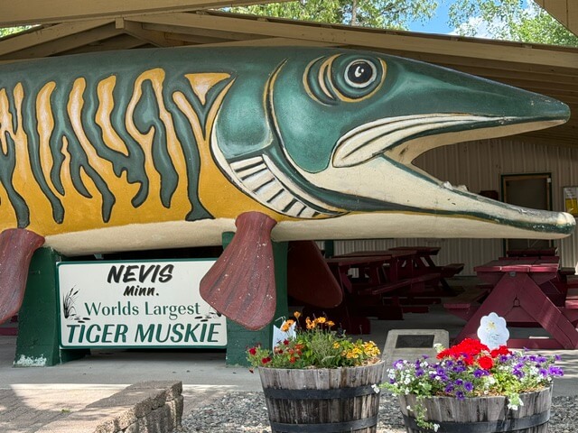Nevis Muskie Sculpture